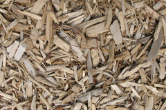biomass boilers Trevegean